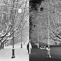 «Настроение» / фотовыставка Елены Шалимо «Настроение» / фотовыставка Елены Шалимо