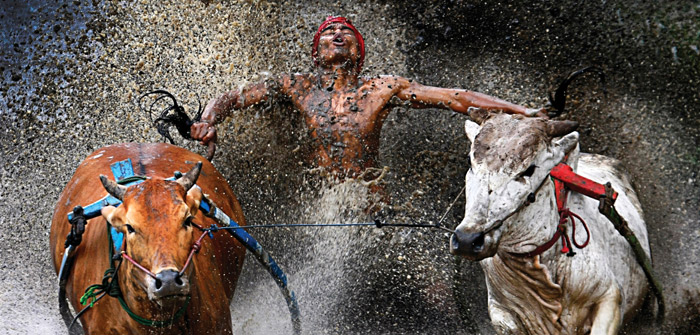 World Press Photo ў Мінску / фотавыстава World Press Photo ў Мінску / фотавыстава