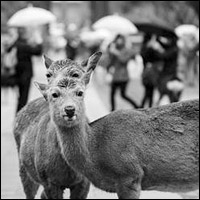 «Дакрананне» / фотавыстава Янака Коўзеля