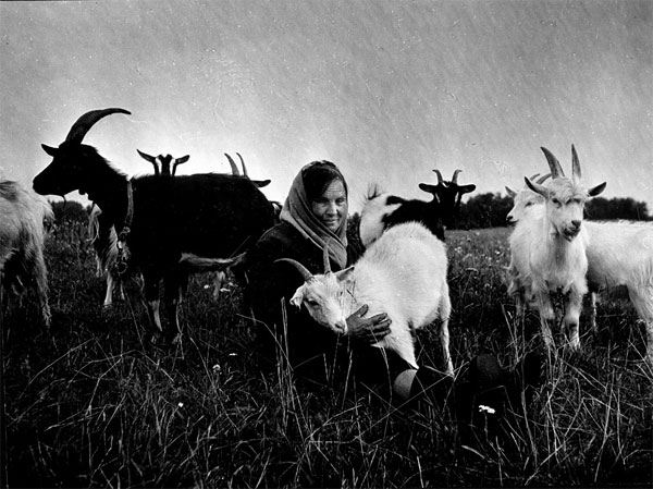 «Жанчына з козамi, воз. Крывое, в. Горы», Владимир Нехайчик, 1989 год