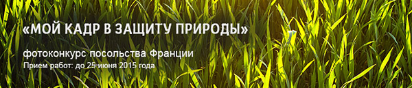 «Мой кадр в защиту природы» / фотоконкурс посольства Франции «Мой кадр в защиту природы» / фотоконкурс посольства Франции
