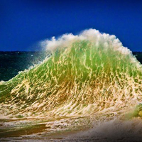 Подведены итоги международного конкурса Best Environmental Photos-2010