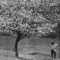 «Литовская фотография 70-80-х годов» / фотовыставка 