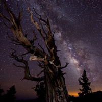 Названы финалисты Astronomy Photographer of The Year 2010