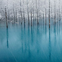 National Geographic выбрал главные фото 2011 года