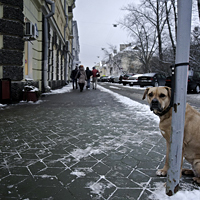 Фотомарафон «Наши 24 часа» / итоги