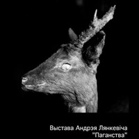 У Гародні да 12 жнiўня працуе фотовыстава Андрэя Лянкевіча «Паганства»